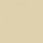 STILE  | Tiles | 24 X 24 | SSP-62000 | Floor Tile | Polished | Ivory | Prime